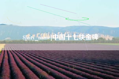 建湖中国十七块金牌