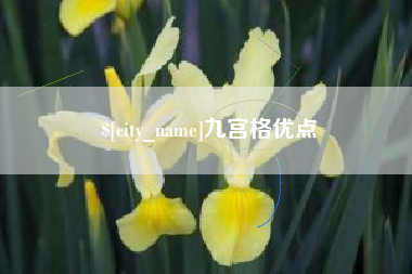 建湖九宫格优点