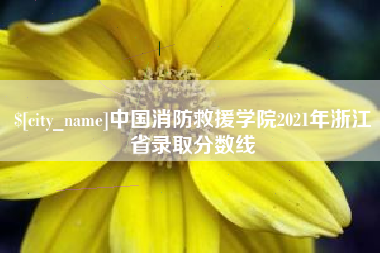 建湖中国消防救援学院2021年浙江省录取分数线