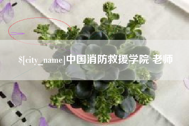 建湖中国消防救援学院 老师