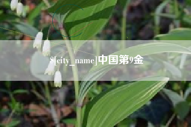 建湖中国第9金