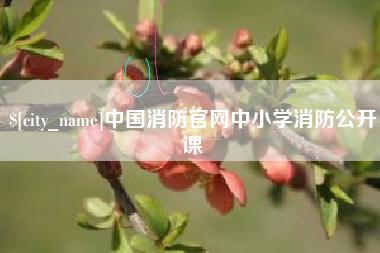 建湖中国消防官网中小学消防公开课