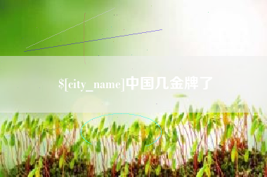 建湖中国几金牌了