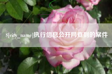 建湖执行信息公开网查到的案件