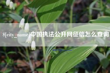 建湖中国执法公开网征信怎么查询
