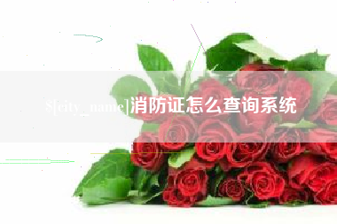 建湖消防证怎么查询系统