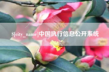 建湖中国执行信息公开系统