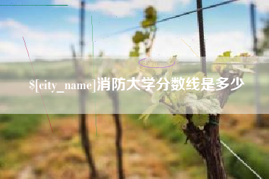 建湖消防大学分数线是多少