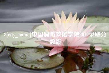 建湖中国消防救援学院2019录取分数线