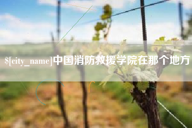 建湖中国消防救援学院在那个地方