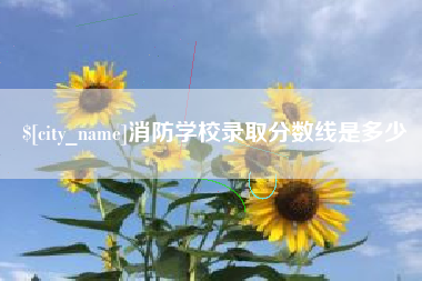 建湖消防学校录取分数线是多少