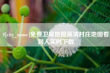 建湖免费卫星地图高清村庄地图看到人实时下载