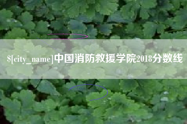 建湖中国消防救援学院2018分数线