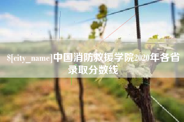 建湖中国消防救援学院2020年各省录取分数线
