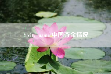 建湖中国夺金情况
