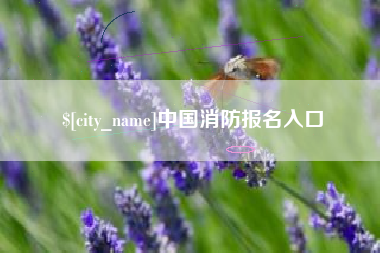 建湖中国消防报名入口