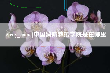 建湖中国消防救援学院是在哪里