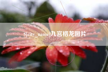 建湖九宫格龙图片