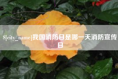 建湖我国消防日是哪一天消防宣传日