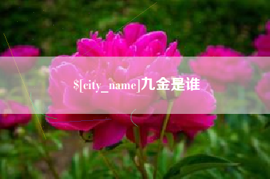 建湖九金是谁