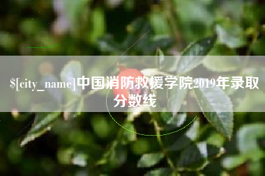 建湖中国消防救援学院2019年录取分数线
