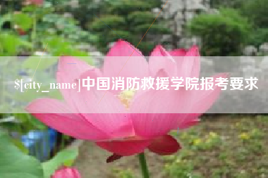 建湖中国消防救援学院报考要求