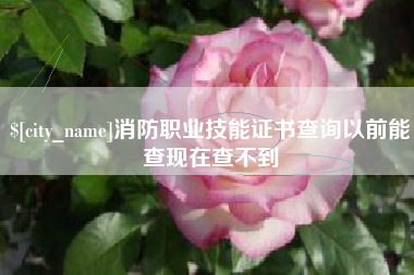 建湖消防职业技能证书查询以前能查现在查不到