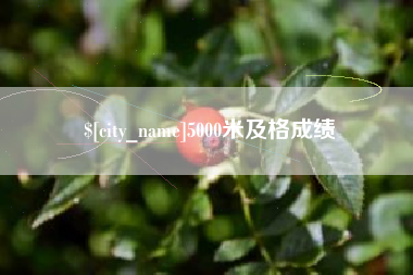 建湖5000米及格成绩
