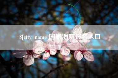 建湖国家消防报名入口