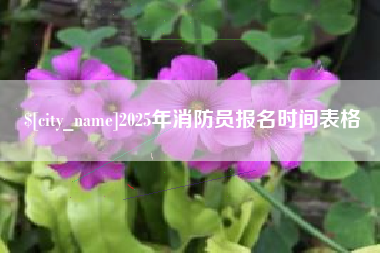 建湖2025年消防员报名时间表格