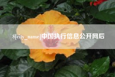 建湖中国执行信息公开网后