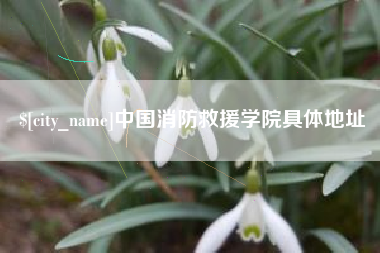 建湖中国消防救援学院具体地址