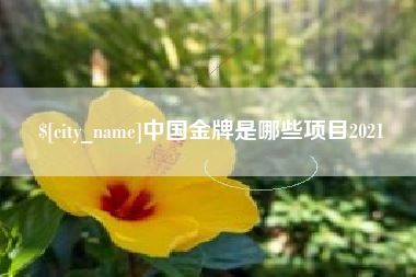 建湖中国金牌是哪些项目2021