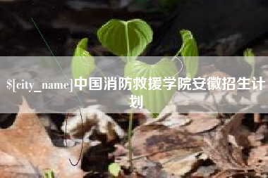 建湖中国消防救援学院安徽招生计划