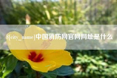 建湖中国消防网官网网址是什么