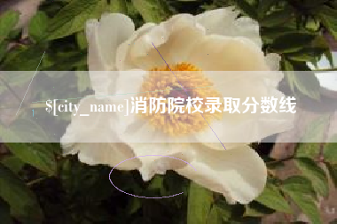 建湖消防院校录取分数线