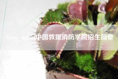 建湖中国救援消防学院招生简章