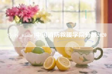 建湖中国消防救援学院分数2020