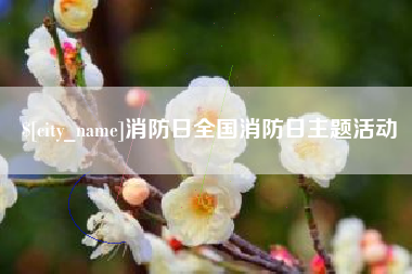建湖消防日全国消防日主题活动