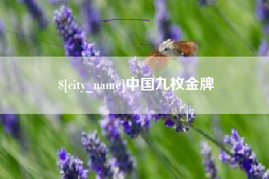 建湖中国九枚金牌