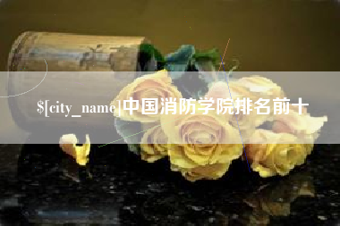建湖中国消防学院排名前十