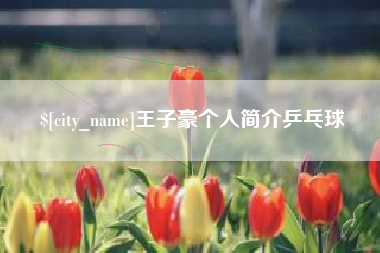 建湖王子豪个人简介乒乓球