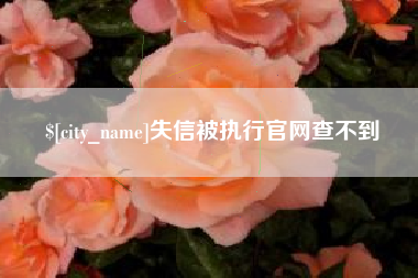 建湖失信被执行官网查不到