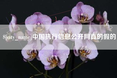 建湖中国执行信息公开网真的假的