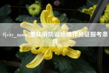 建湖重庆消防设施操作员证报考条件