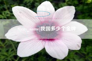 建湖我国多少个金牌