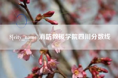 建湖消防救援学院四川分数线
