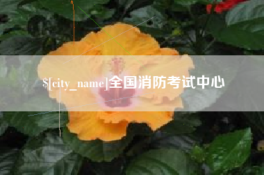 建湖全国消防考试中心