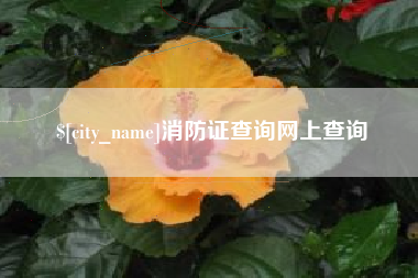 建湖消防证查询网上查询