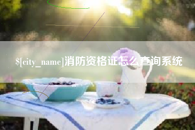 建湖消防资格证怎么查询系统